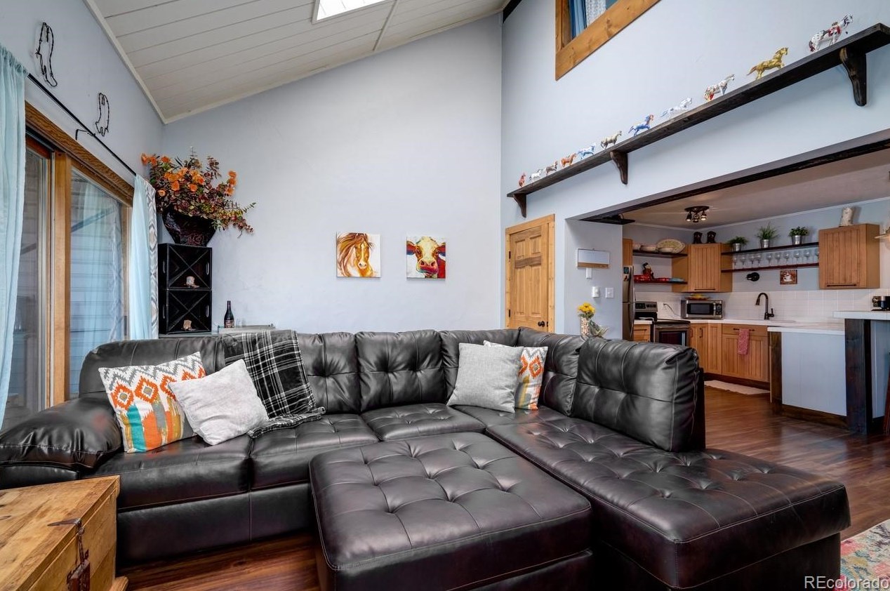 23090 Schussmark Trail #b, Oak Creek, CO 80467