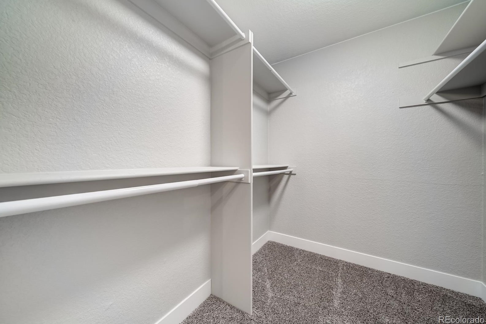 6363 Grape Ct, Littleton CO 80122-3810 exterior