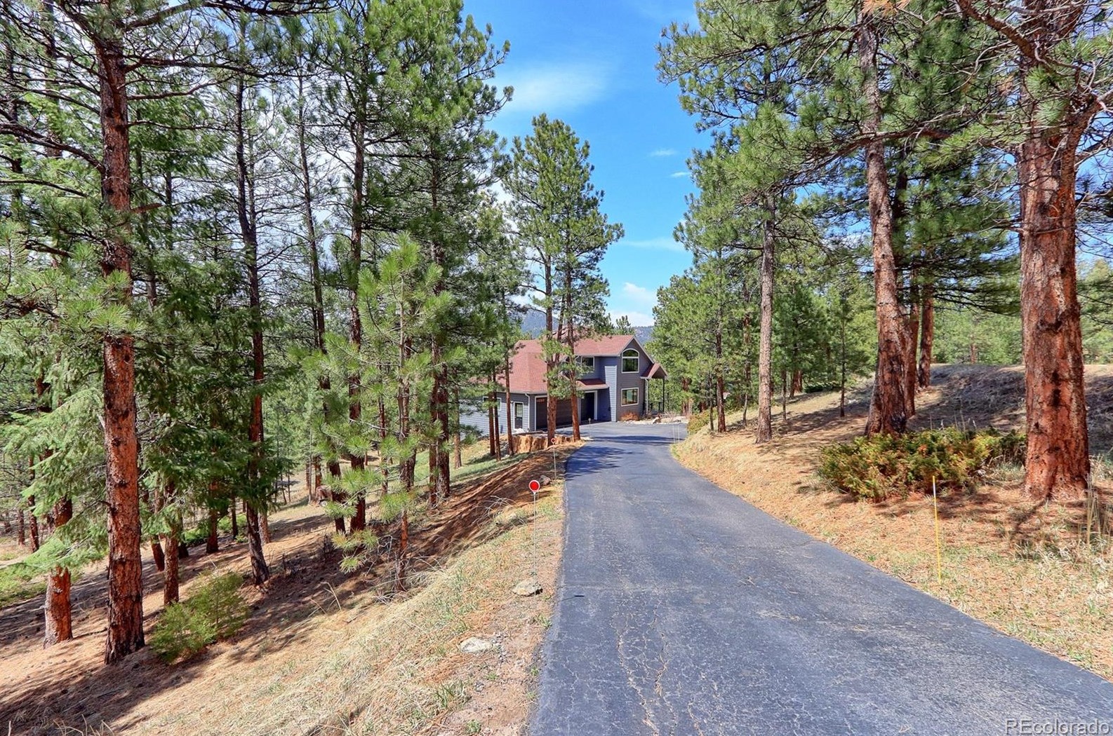 7371 S Homesteader Dr, Morrison, CO 80465