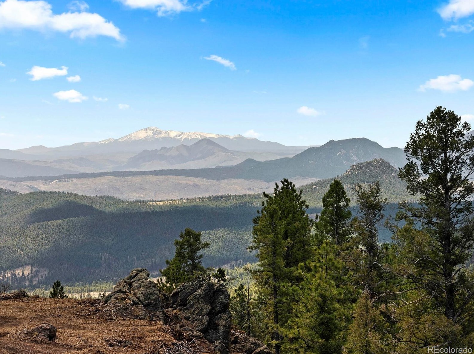 26767 Gray Buck Trail, Conifer, CO 80433