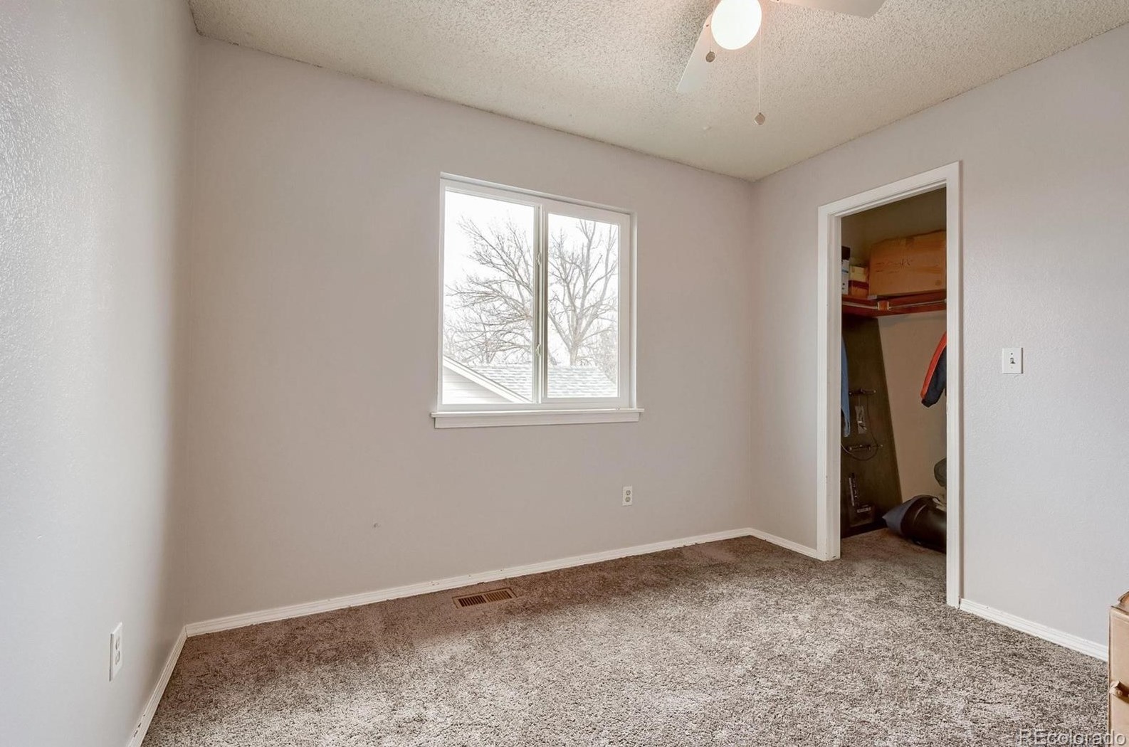 325 Holcomb St, Castle Rock CO  80104-8909 exterior