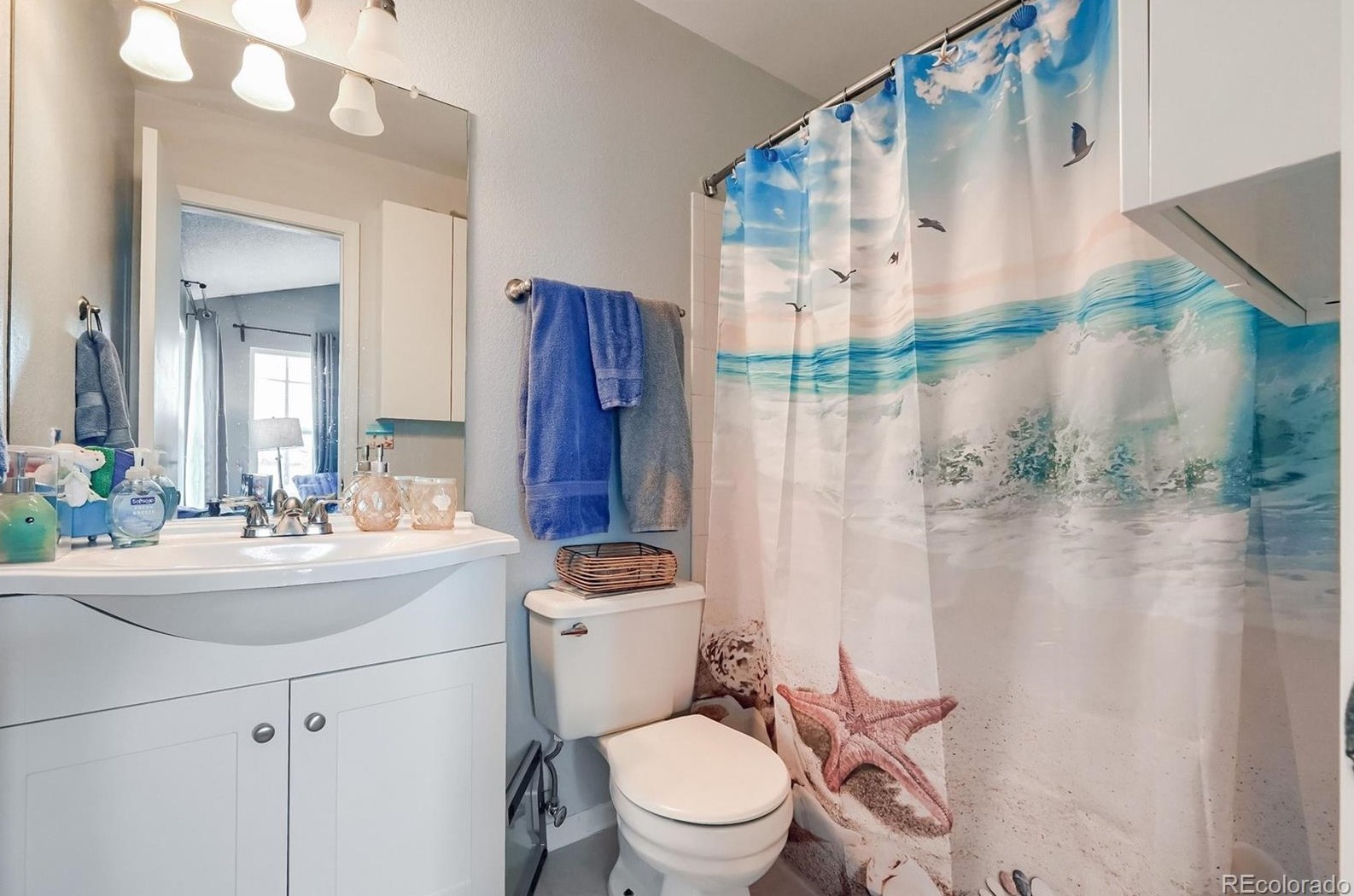 325 Holcomb St, Castle Rock CO  80104-8909 exterior