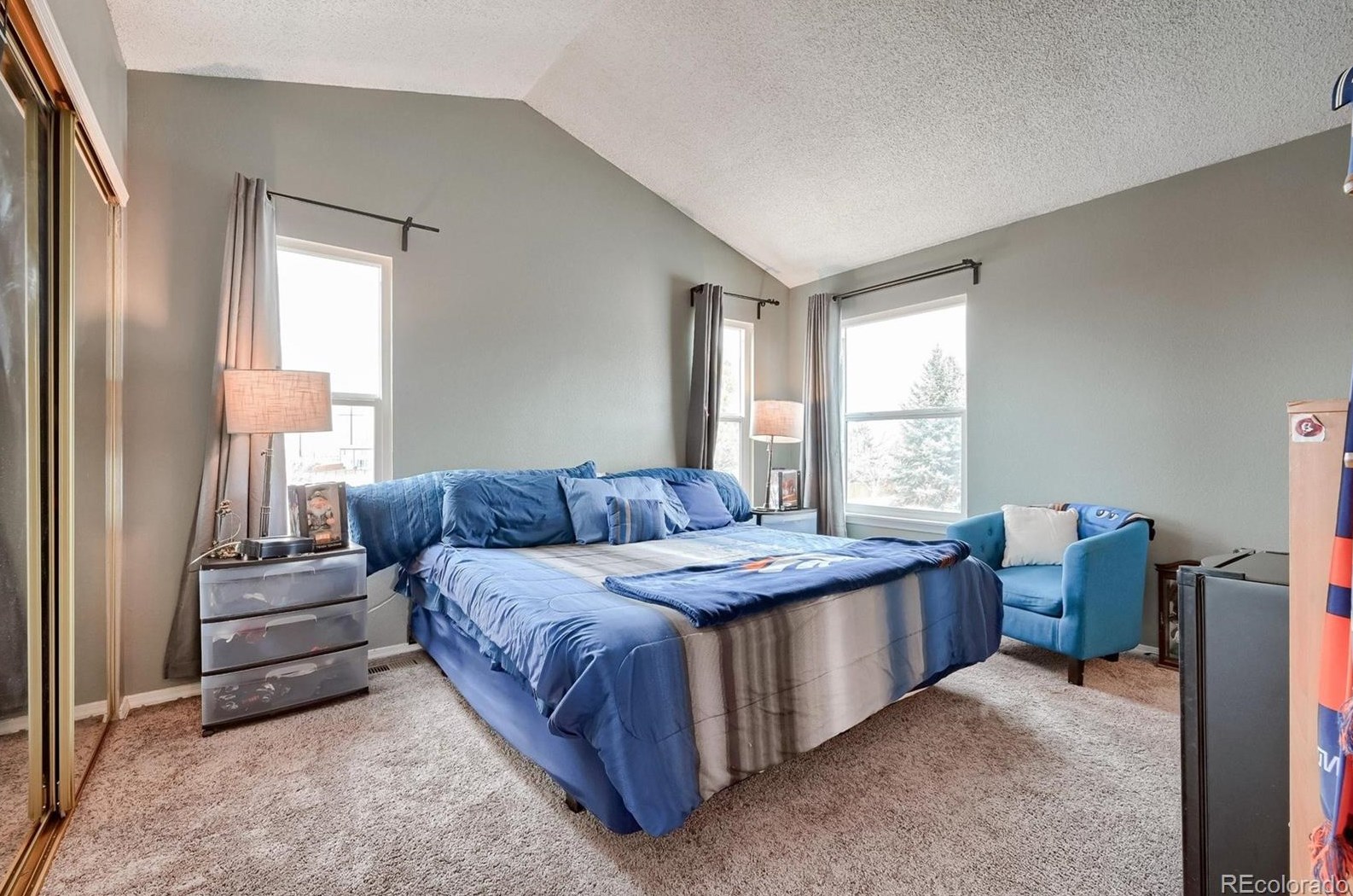 325 Holcomb St, Castle Rock CO  80104-8909 exterior