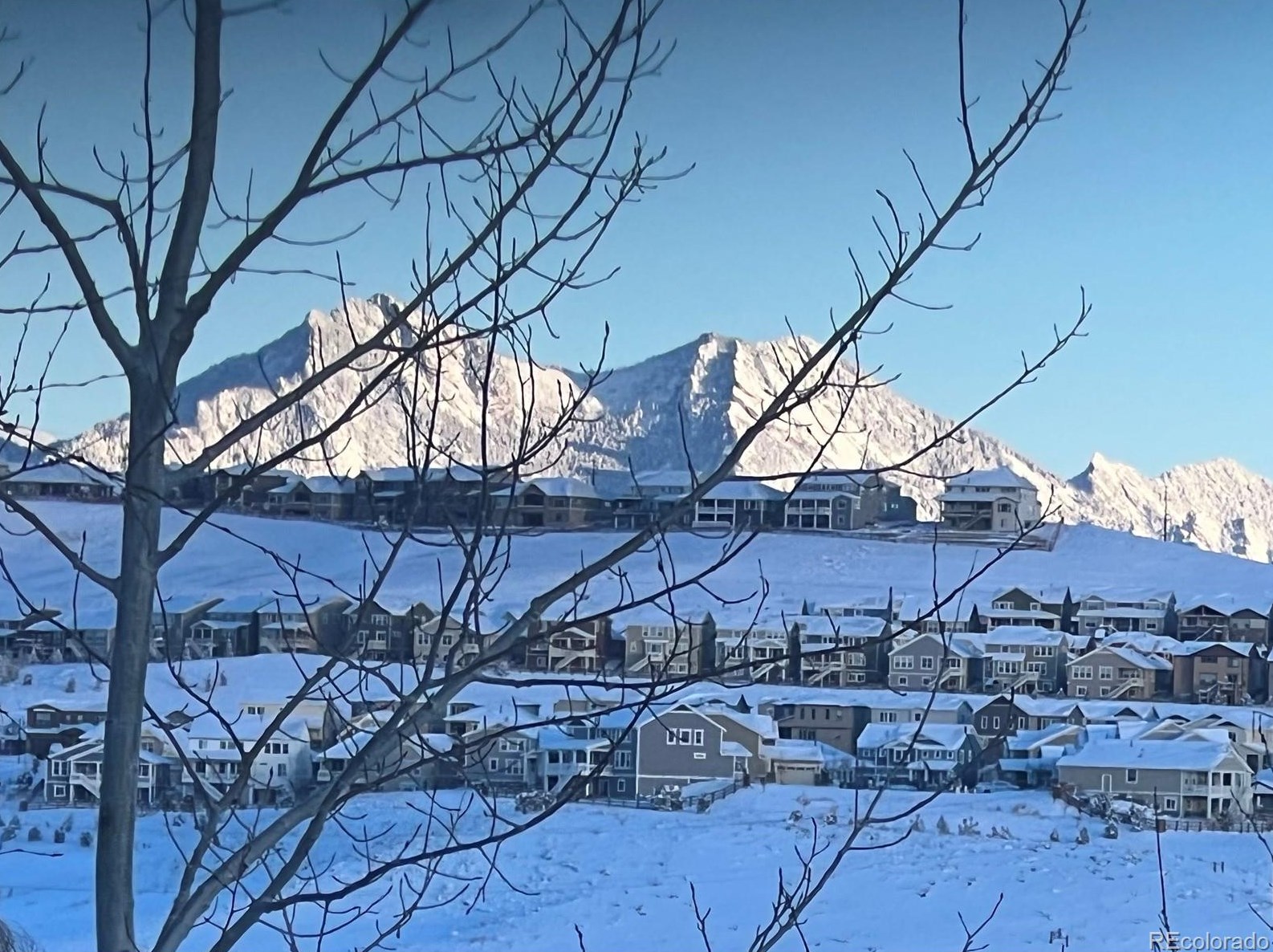 17527 78th Dr, Arvada CO  80007-7981 exterior