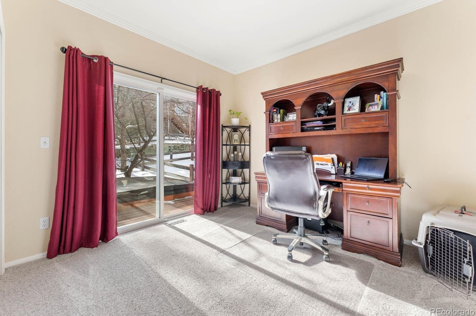 792 Deer Clover Way, Castle Rock CO  80108-8205 exterior