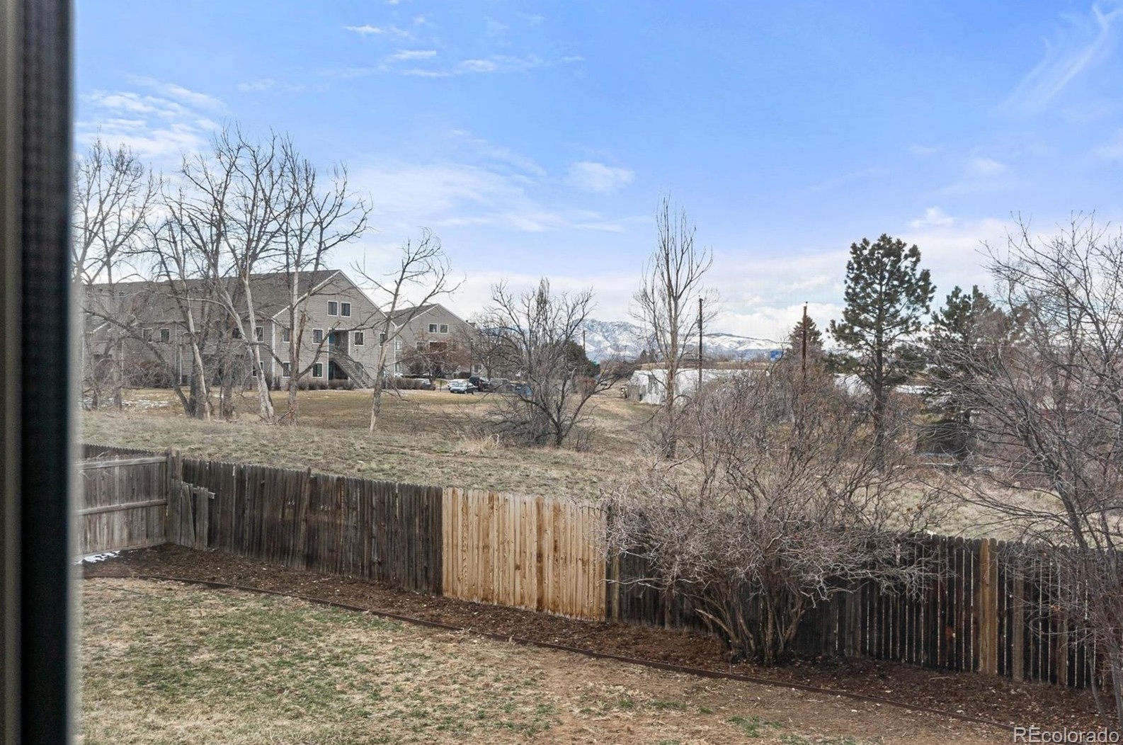 3569 Newland St, Denver CO  80033-6442 exterior