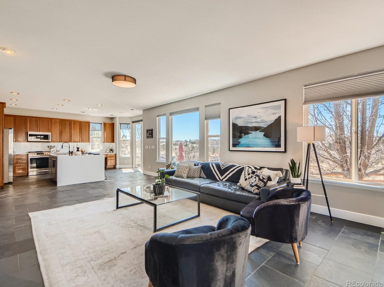 7224 Serena Dr, Castle Rock CO  80108-8106 exterior