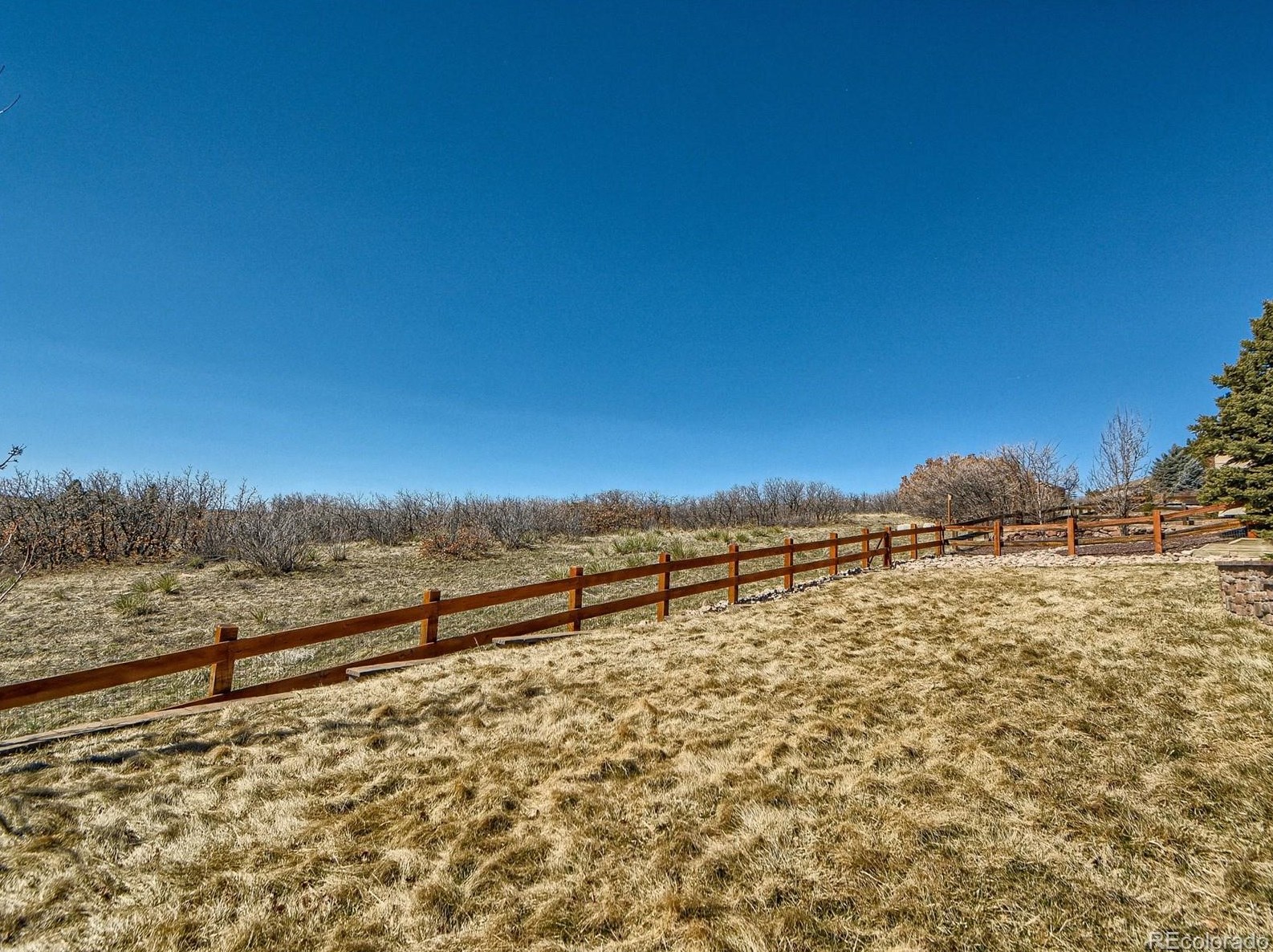 7224 Serena Dr, Castle Rock CO  80108-8106 exterior