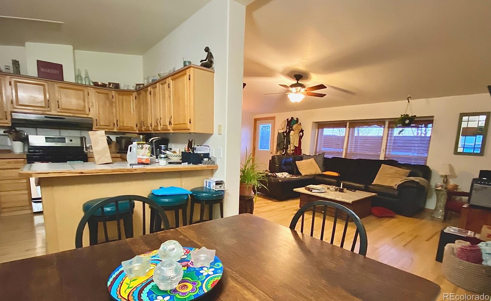 1360 Indian Trail #13, Steamboat Springs, CO 80487