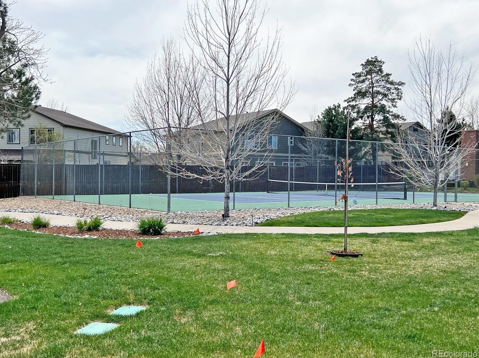 7925 Layton Ave, Littleton CO 80123-1315 exterior