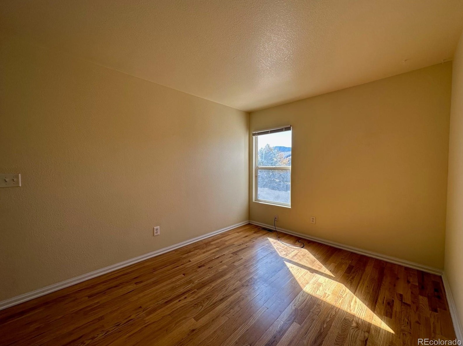 7664 Brown Bear Ct, Littleton CO  80125-8848 exterior