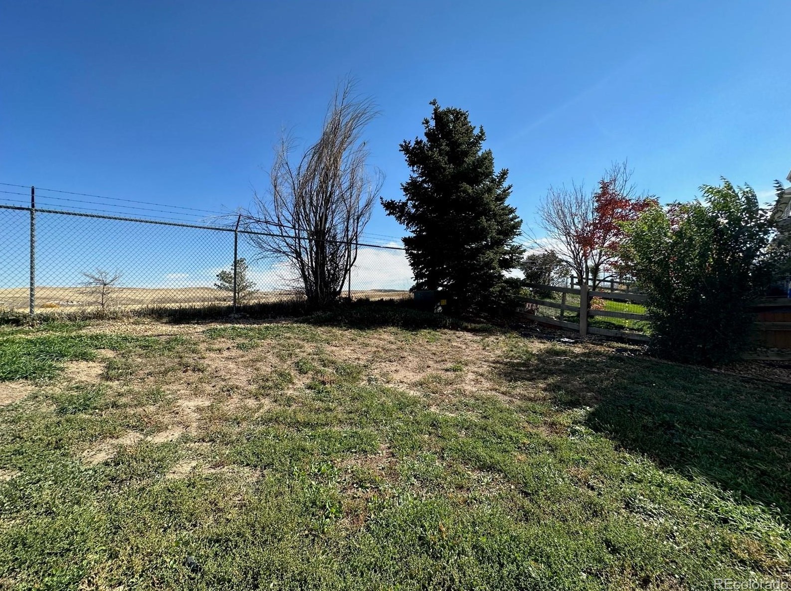 7664 Brown Bear Ct, Littleton CO  80125-8848 exterior