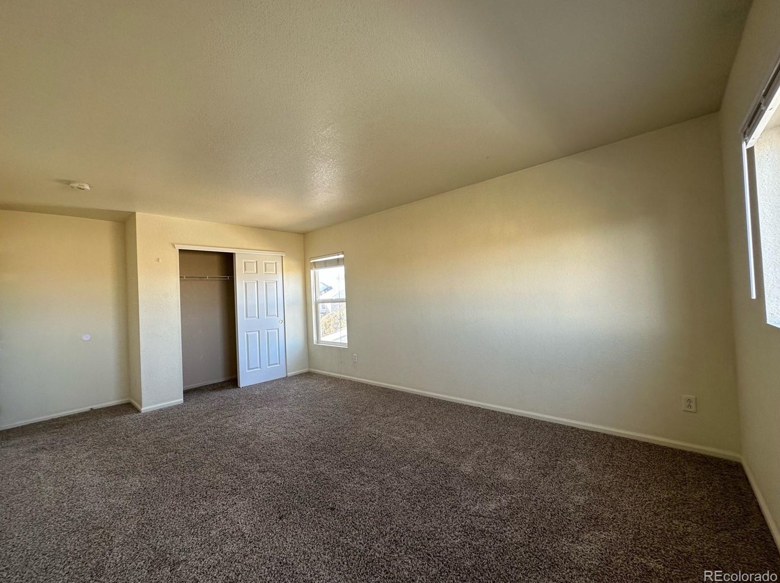 7664 Brown Bear Ct, Littleton CO  80125-8848 exterior