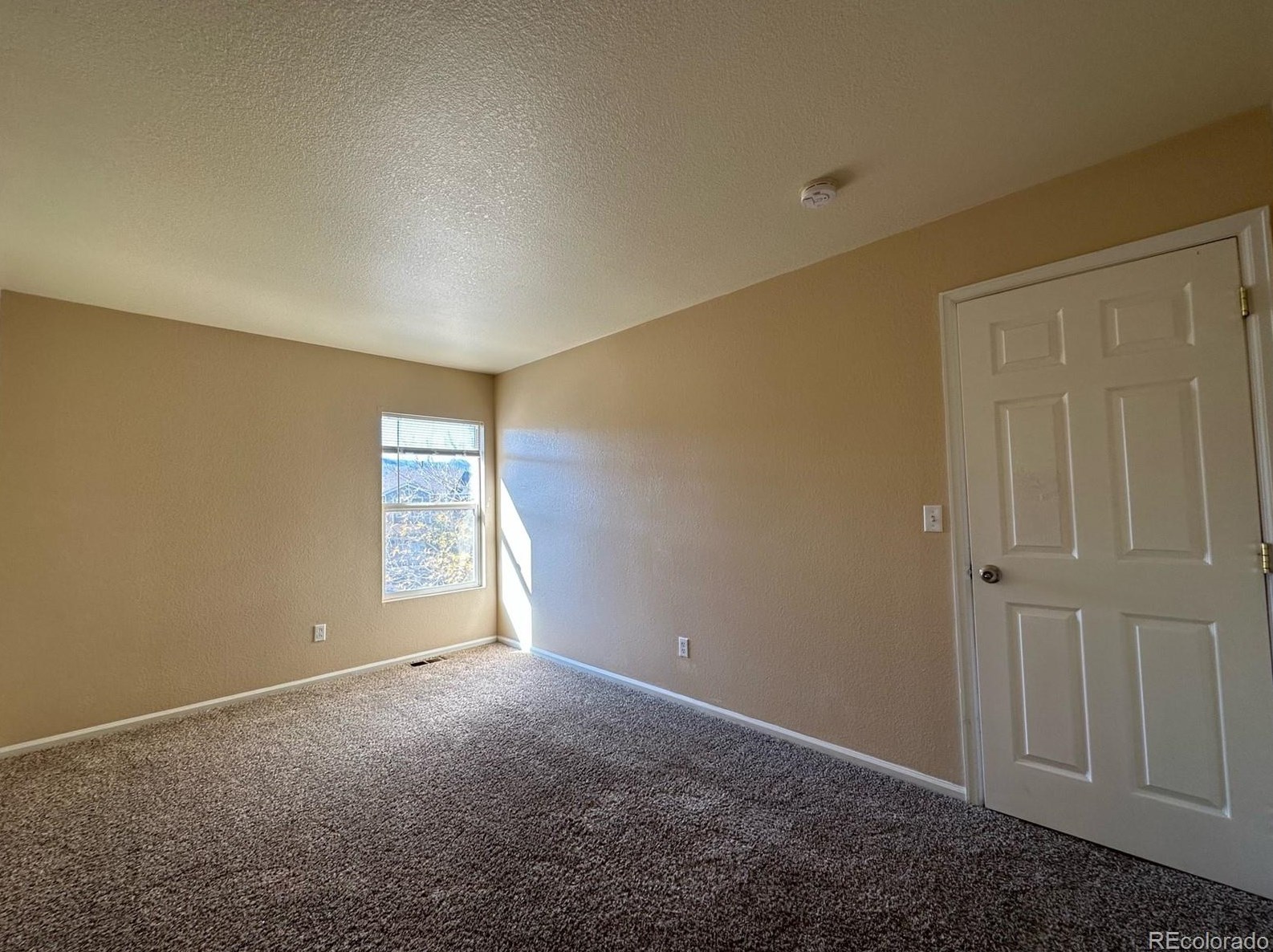 7664 Brown Bear Ct, Littleton CO  80125-8848 exterior