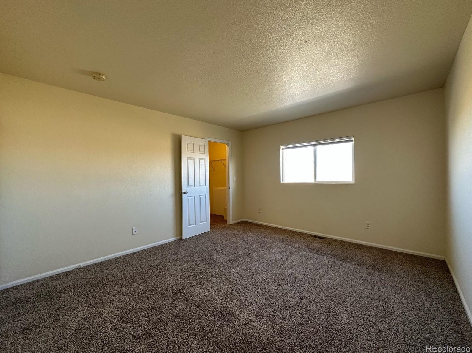 7664 Brown Bear Ct, Littleton CO  80125-8848 exterior