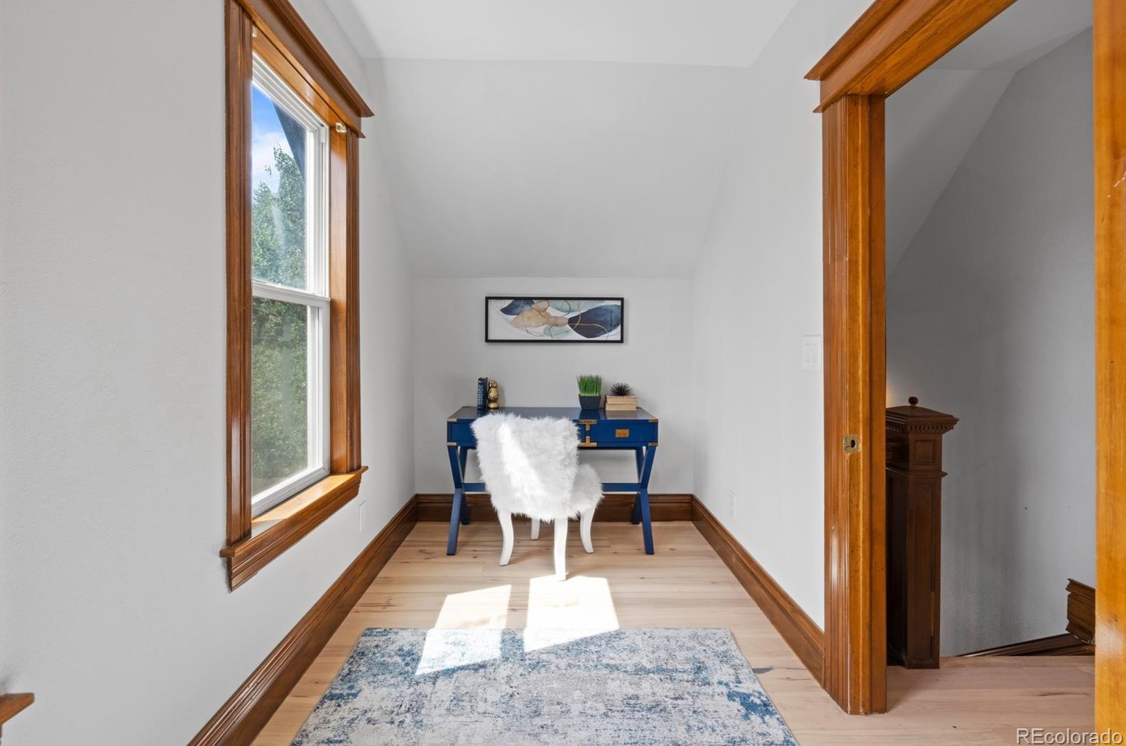 2426 Race St, Denver CO  80205-5644 exterior