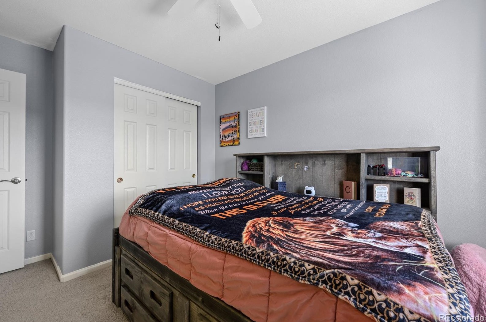 6057 Wescroft Ave, Castle Rock CO  80104-5267 exterior