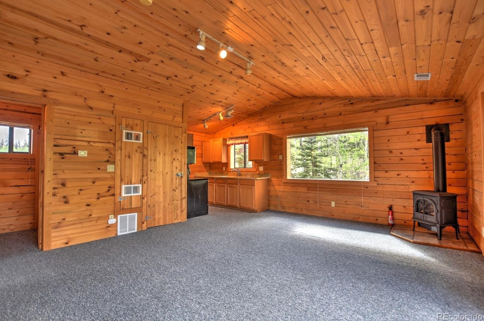 4253 Arrowhead Dr, Fairplay, CO 80432