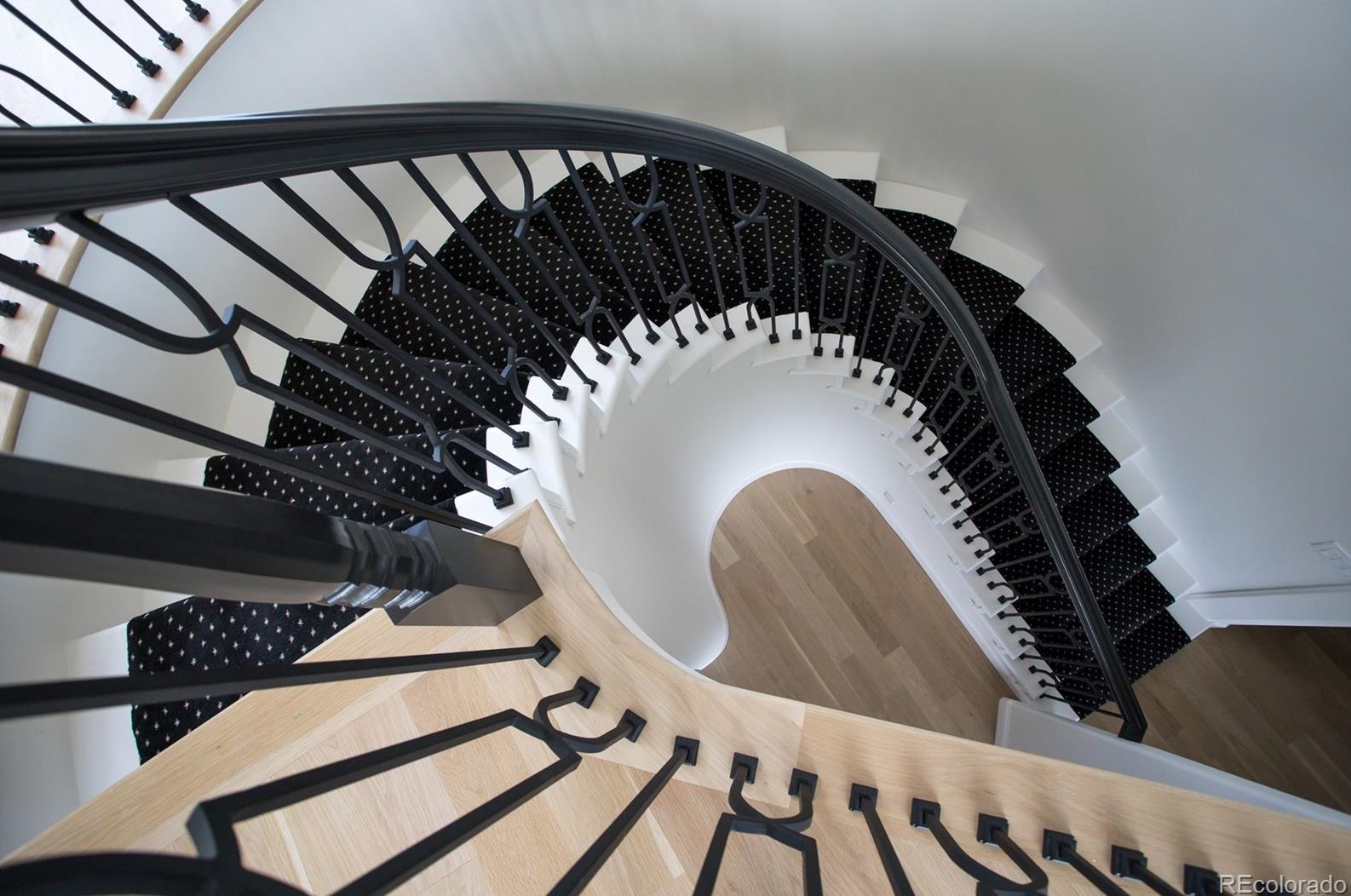 3801 Garden Ave, Littleton CO  80121-1804 exterior