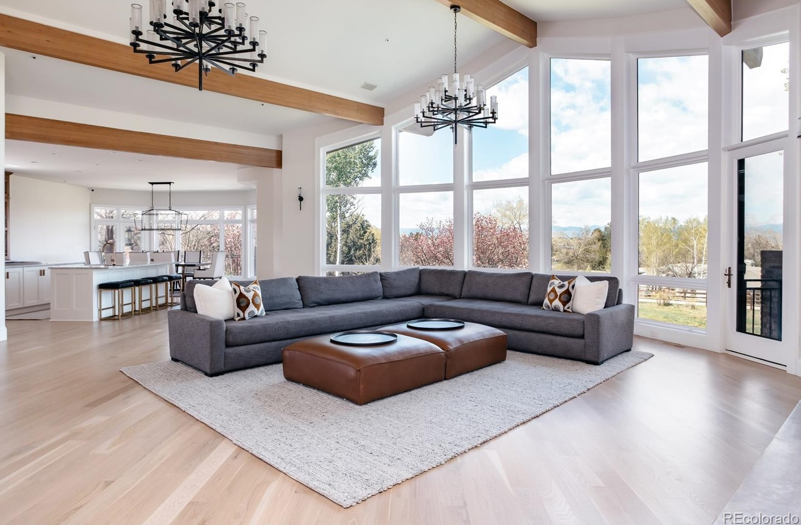 3801 Garden Ave, Littleton CO  80121-1804 exterior