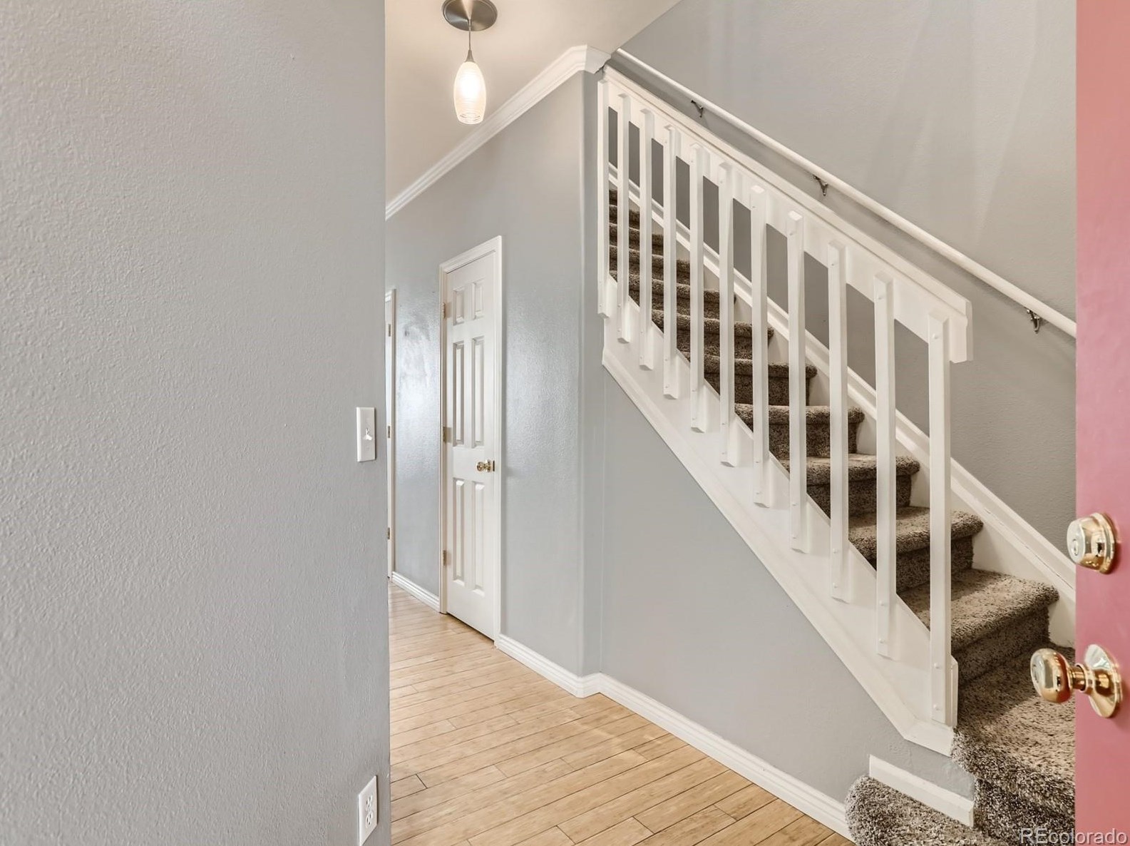 9107 Phillips Dr, Littleton CO  80128-8120 exterior