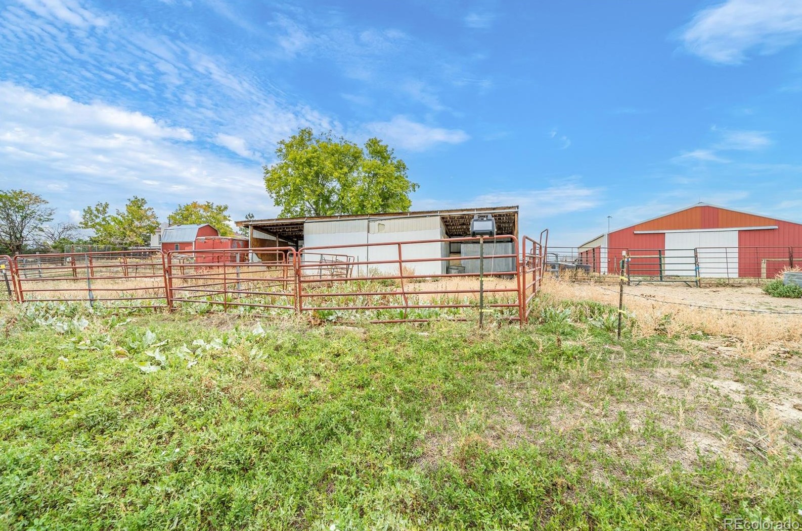 8870 Indiana St, Arvada CO  80007-8210 exterior