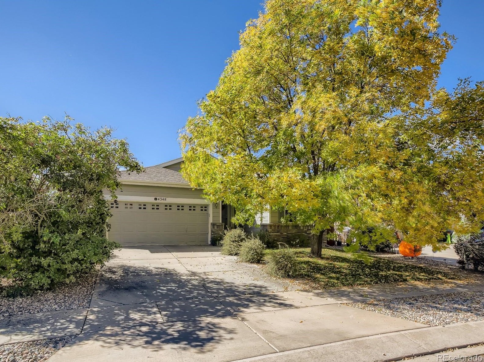 4348 Round Hill Dr, Colorado Springs, CO 80922-6201