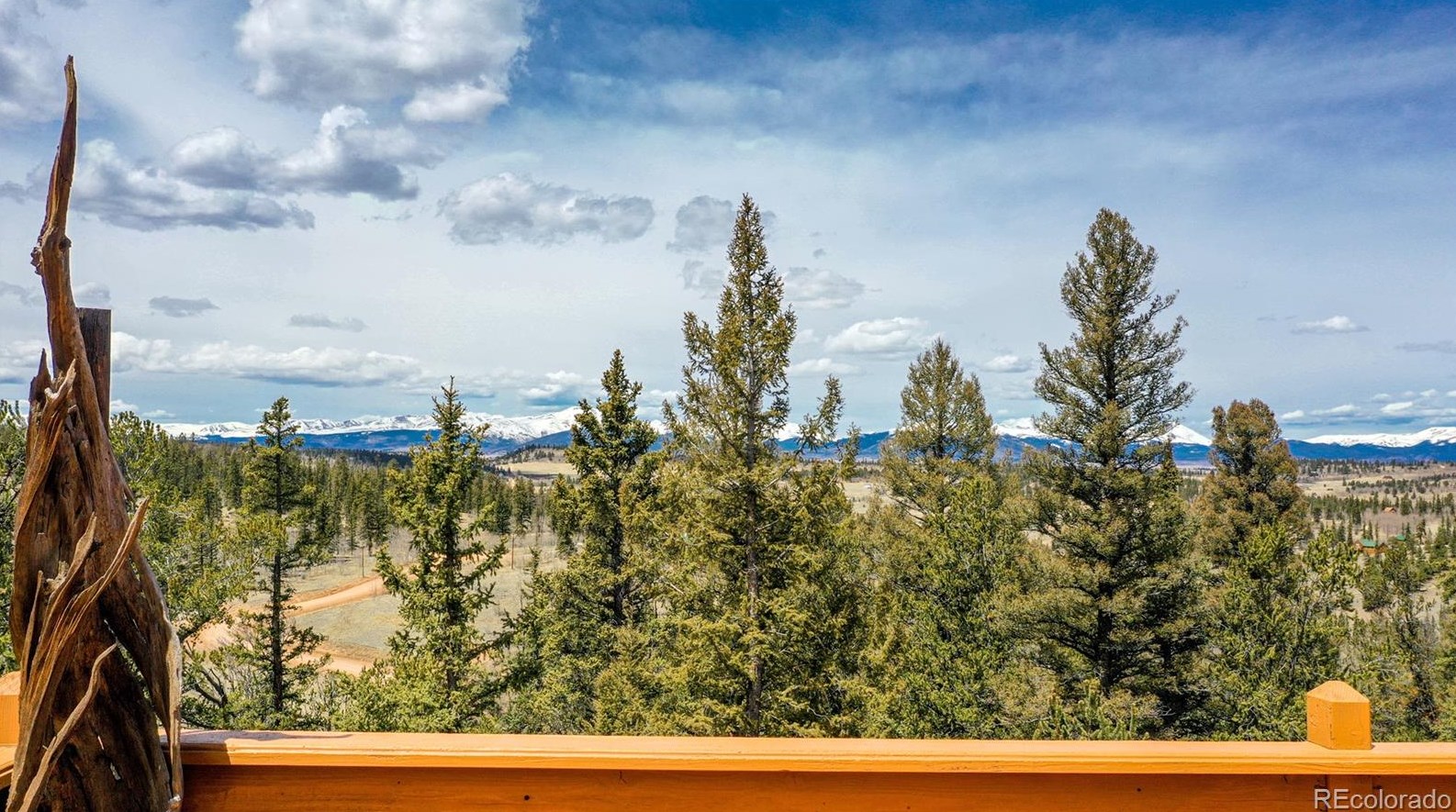 1752 E Longbow Dr, Fairplay, CO 80432