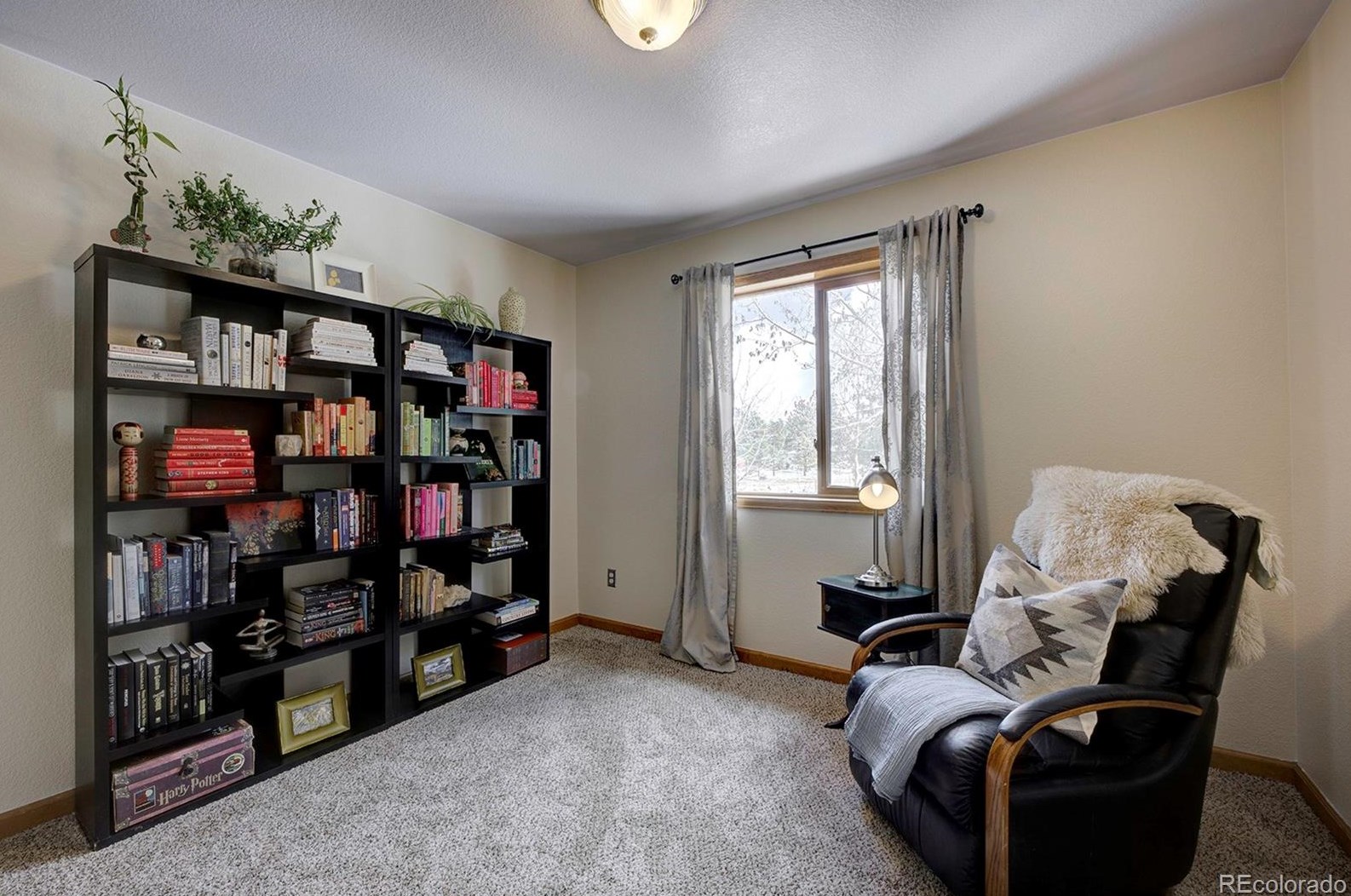 454 Conifer Dr, Bailey CO 80421-1886 exterior