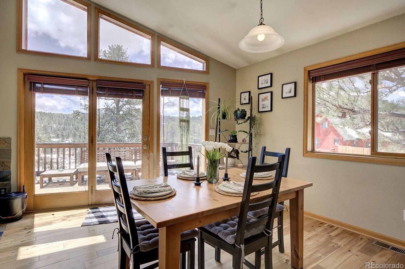 454 Conifer Dr, Bailey CO 80421-1886 exterior