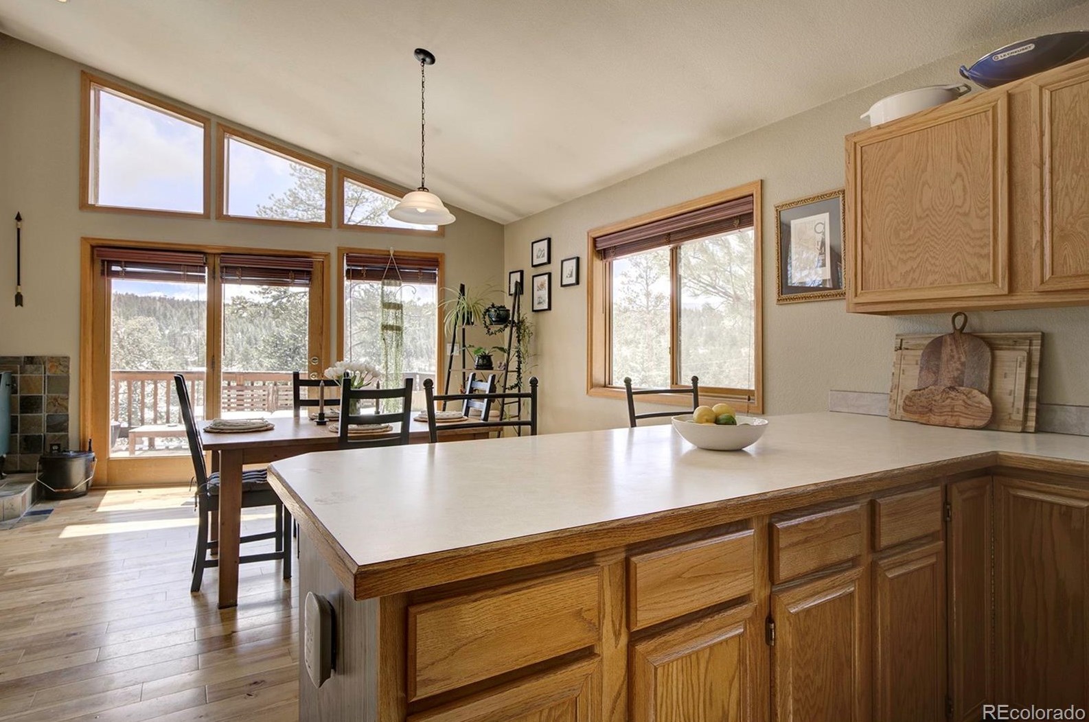 454 Conifer Dr, Bailey CO 80421-1886 exterior