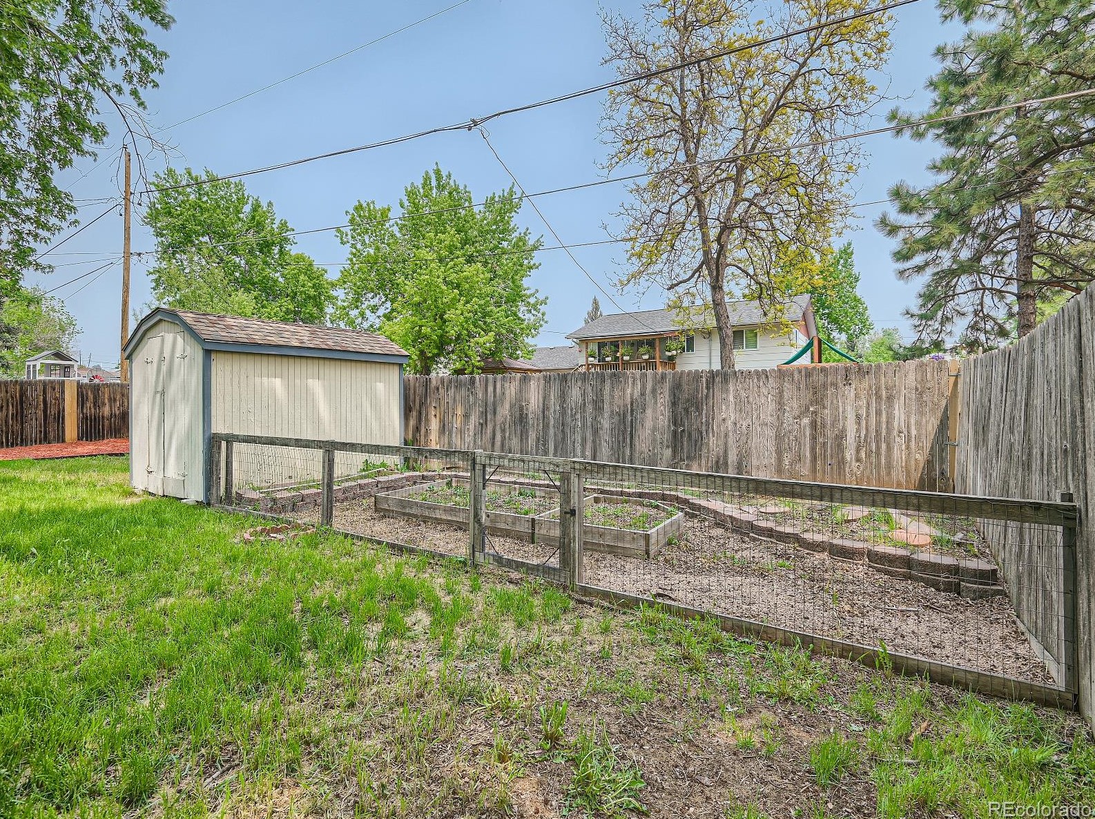 8438 Ames St, Arvada CO  80003-1426 exterior