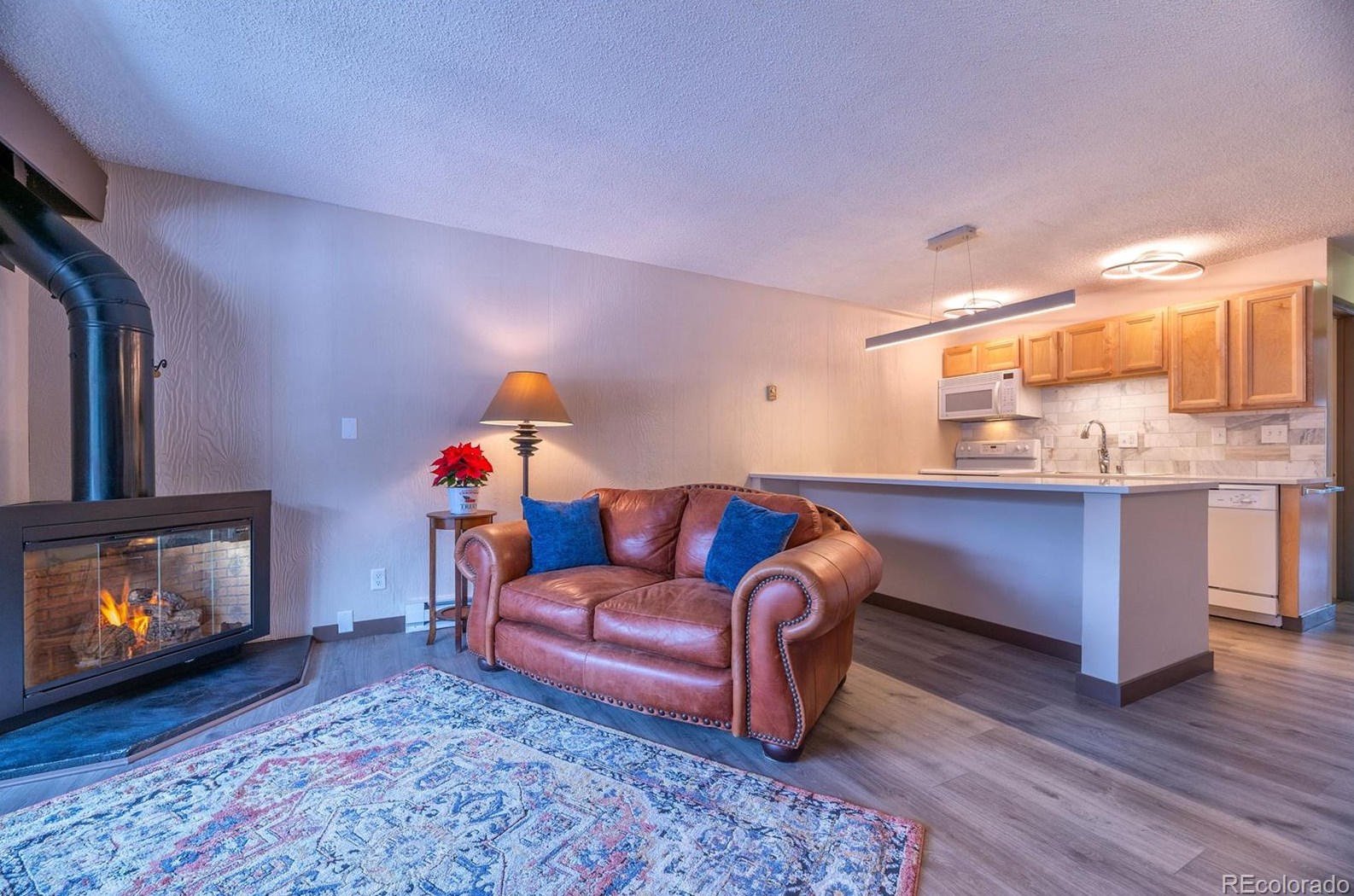 1513 E Keystone Rd #2969, Montezuma, CO 80435