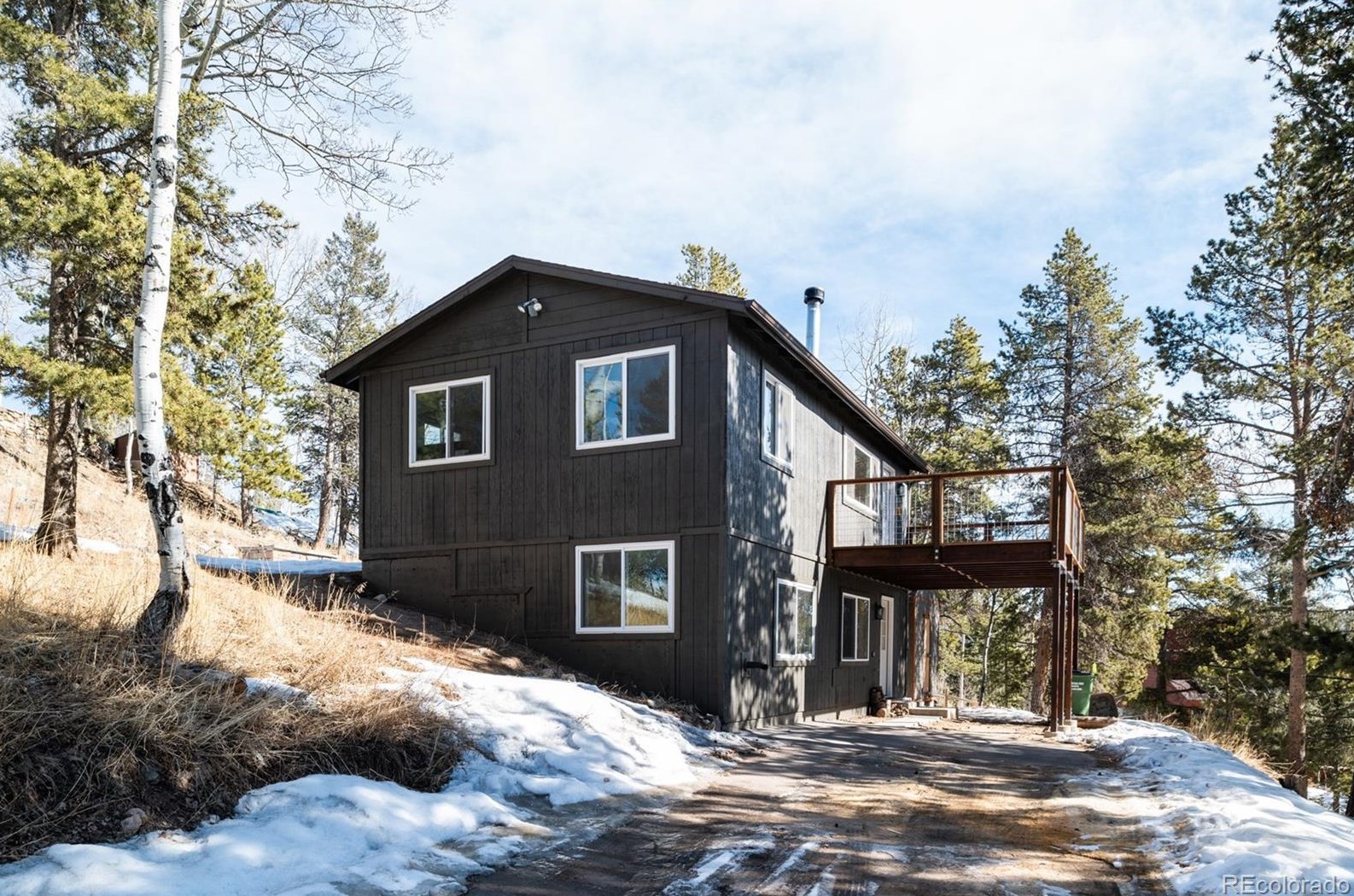 11544 Green Ct, Conifer, CO 80433