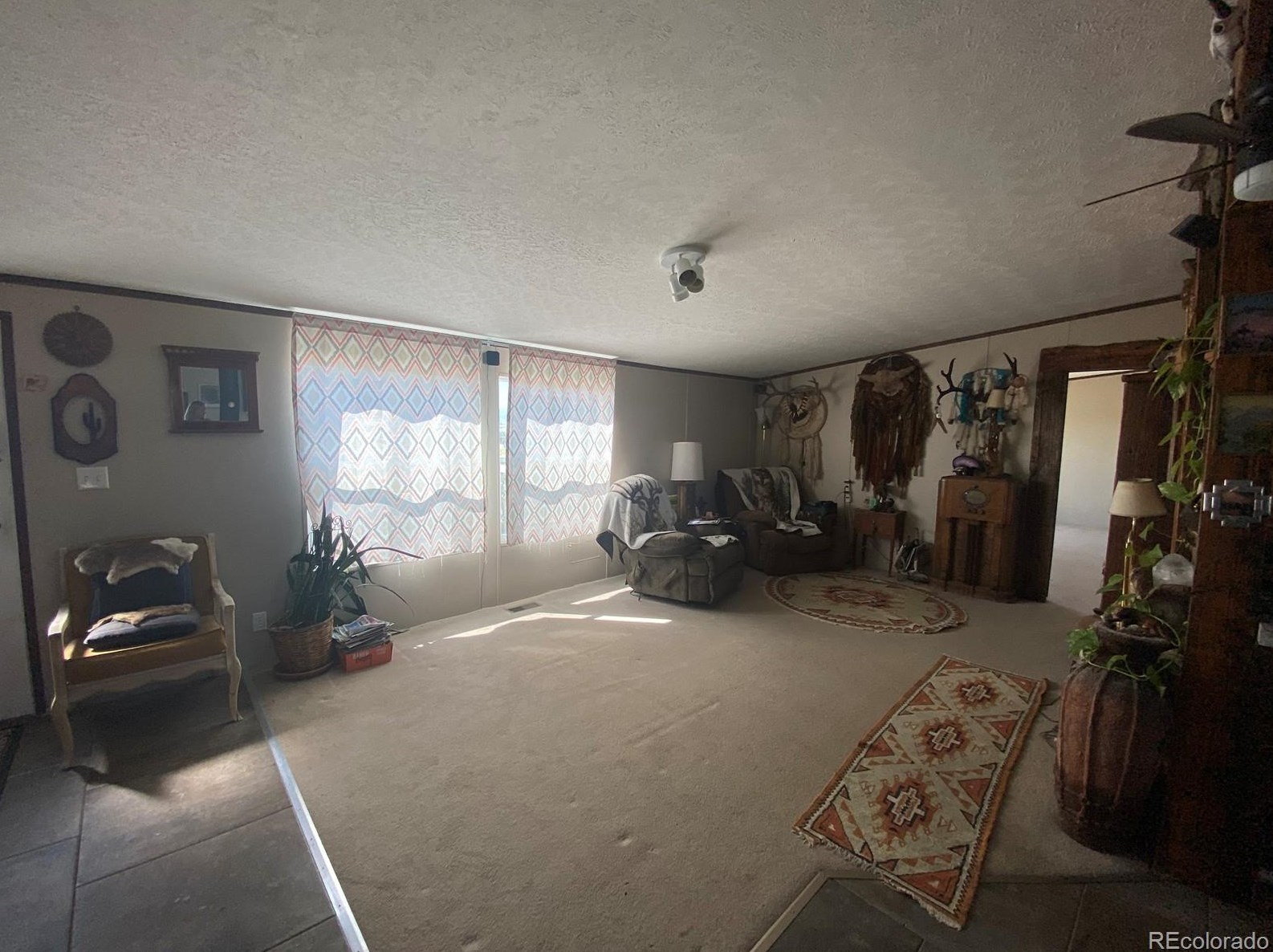 1381 L St, Penrose, CO 81240