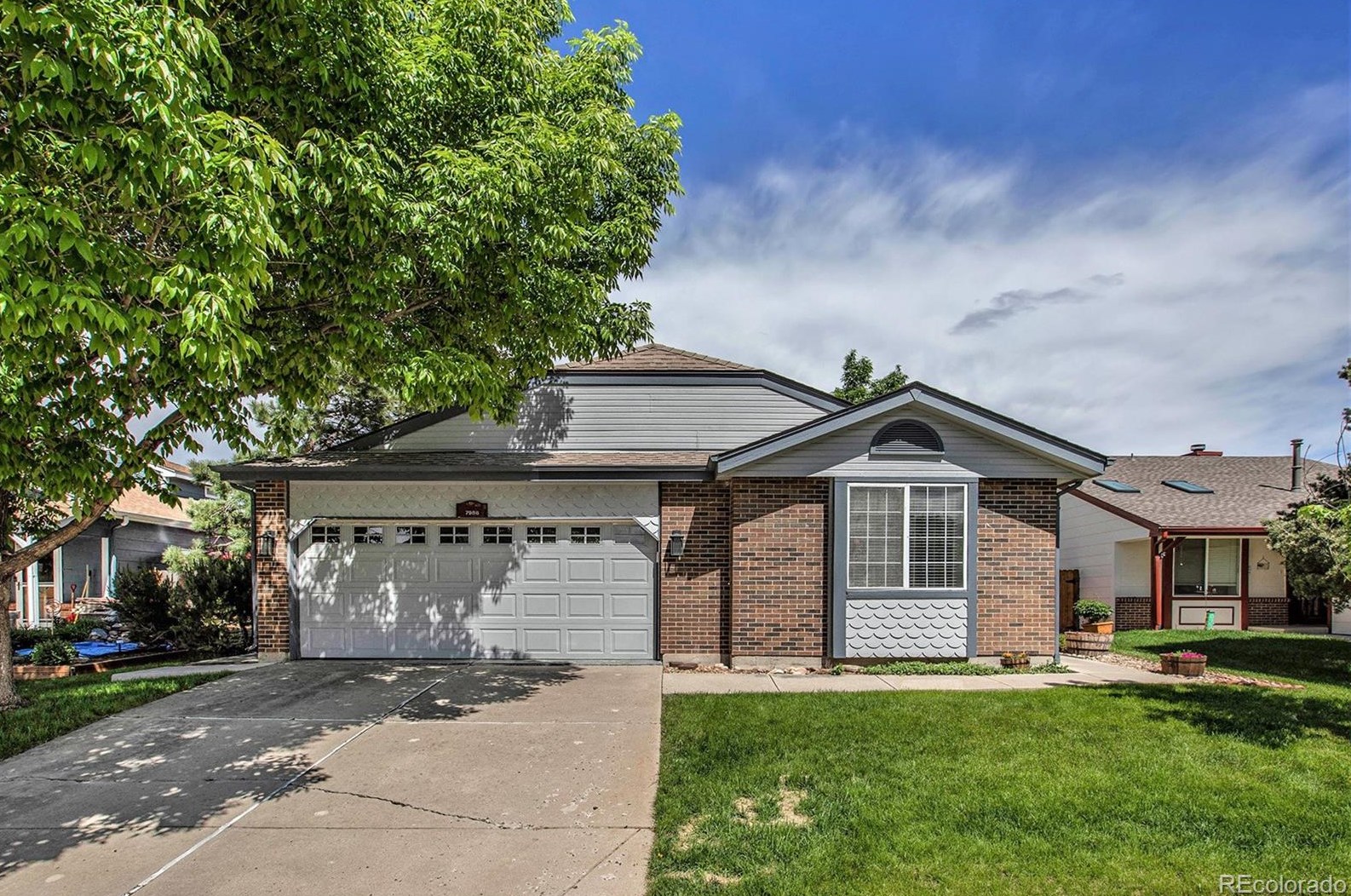 7988 Johnson Ct, Littleton, CO 80128-7505