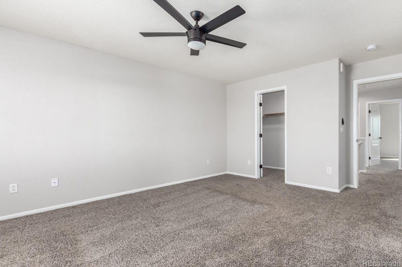 19 Peabody St, Castle Rock CO  80104-8812 exterior