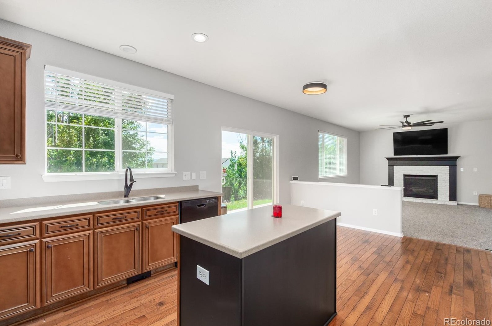 19 Peabody St, Castle Rock CO  80104-8812 exterior