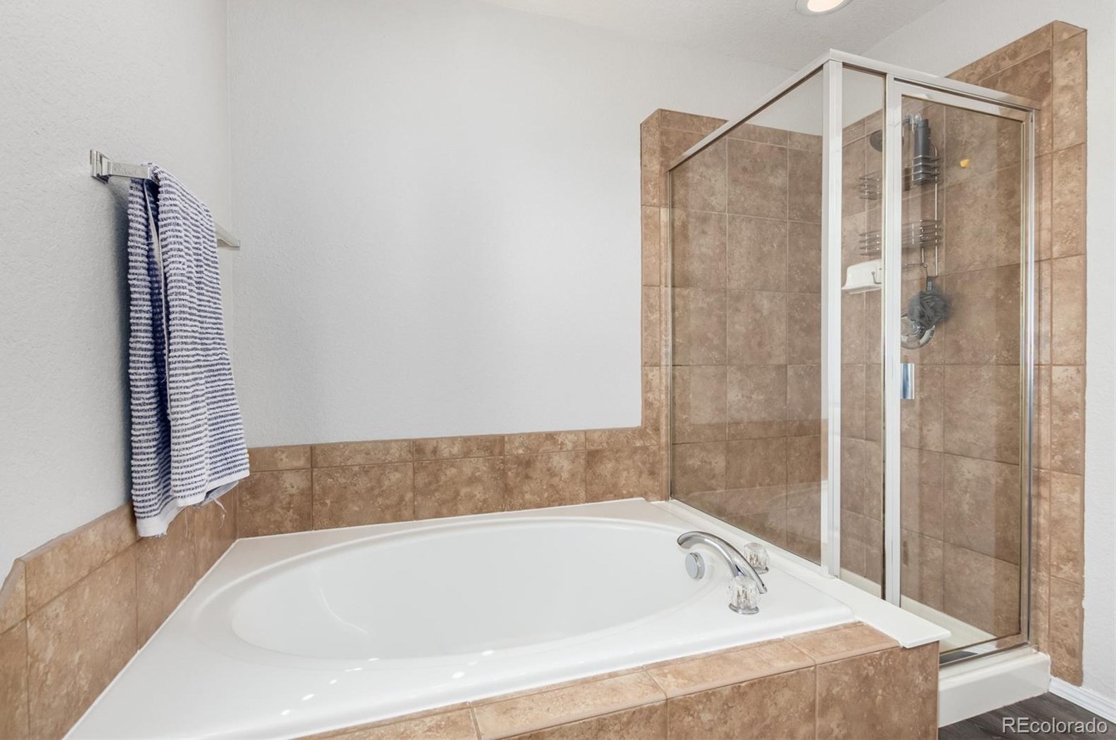 19 Peabody St, Castle Rock CO  80104-8812 exterior