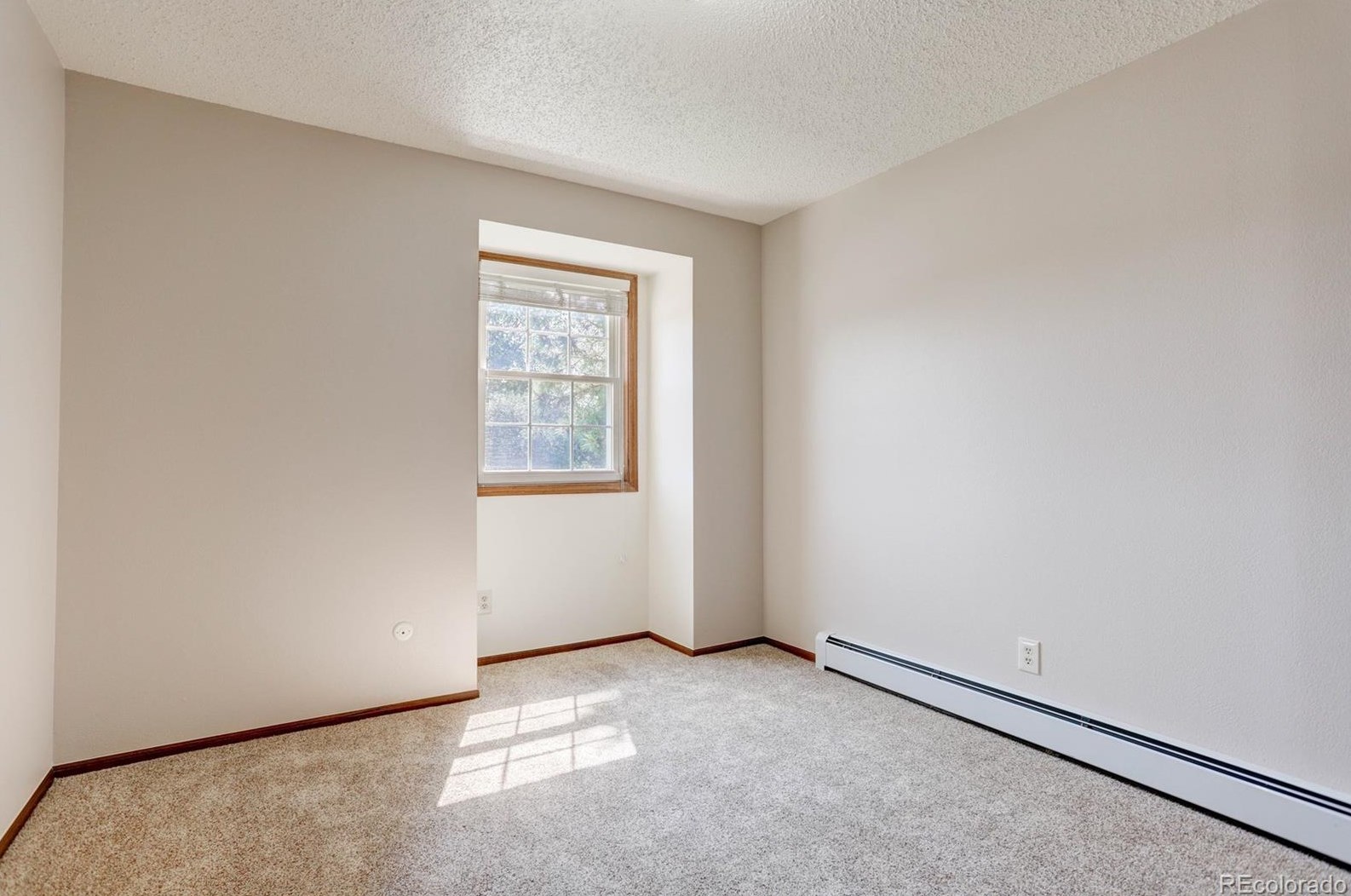 8183 Carr Ct, Littleton CO exterior