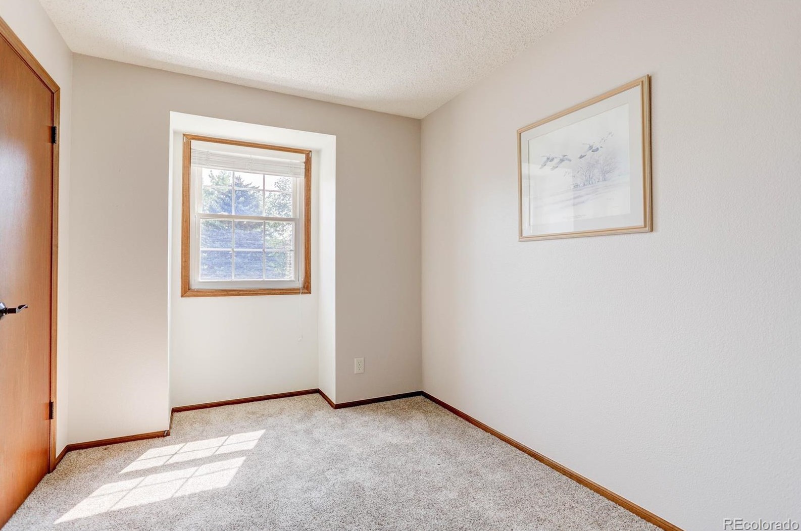 8183 Carr Ct, Littleton CO exterior