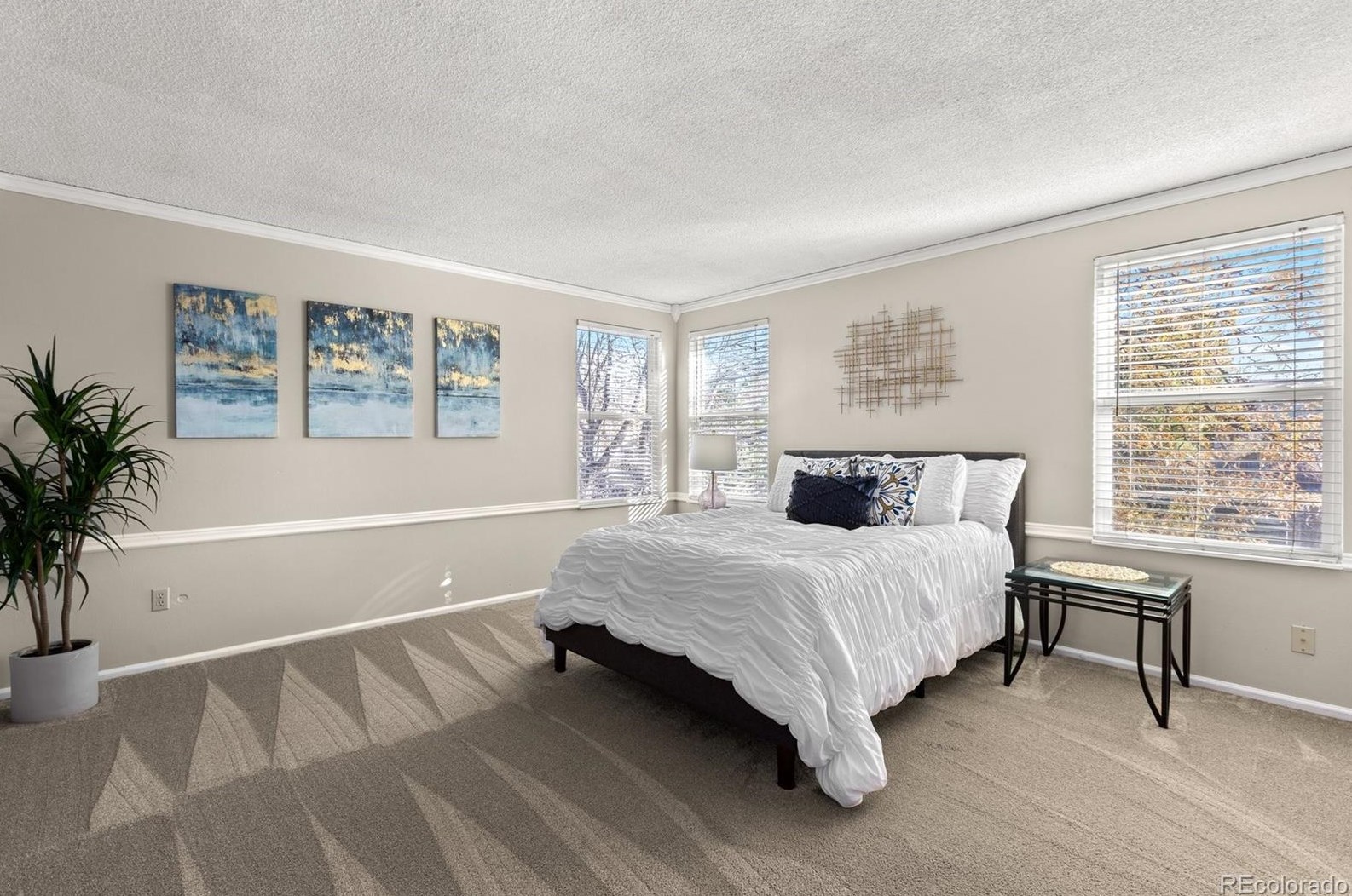 8858 Quarto Ave, Littleton CO 80128-4269 exterior