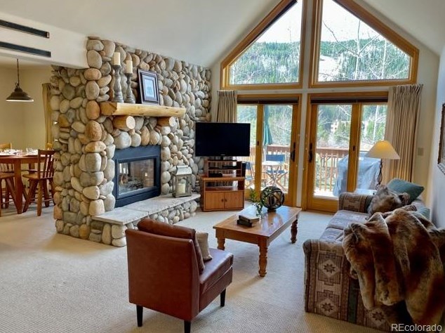 42 Snake River Rd #43, Montezuma, CO 80435