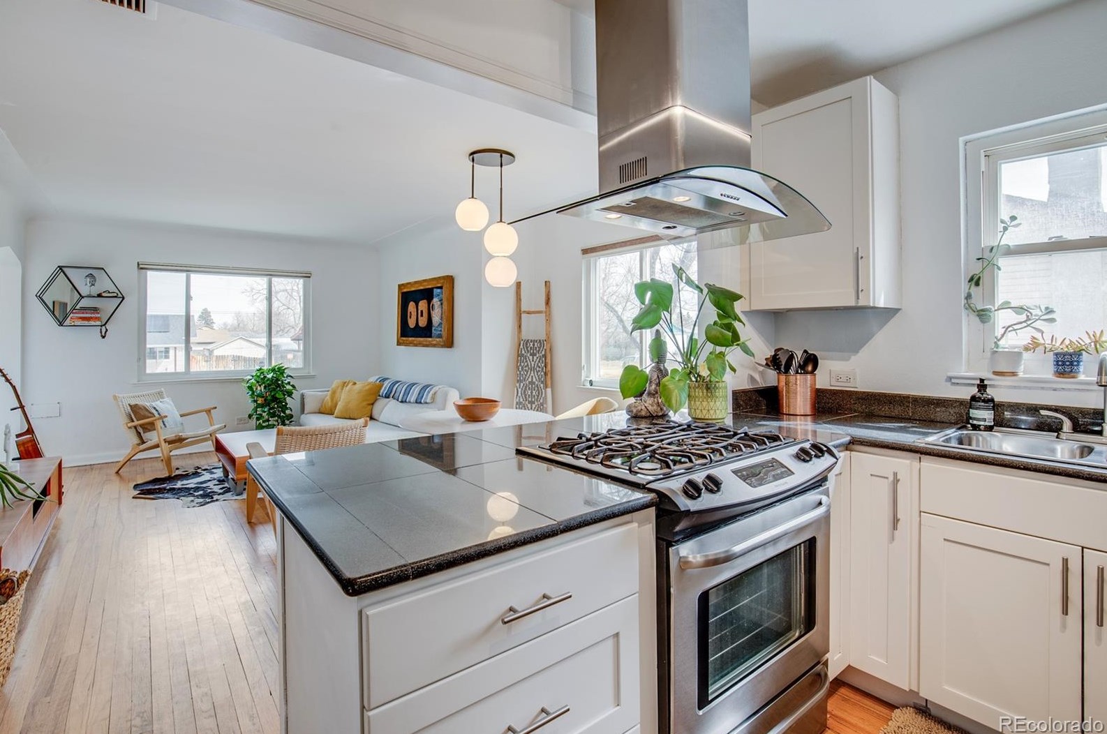 491 Quitman St, Denver CO  80204-4719 exterior