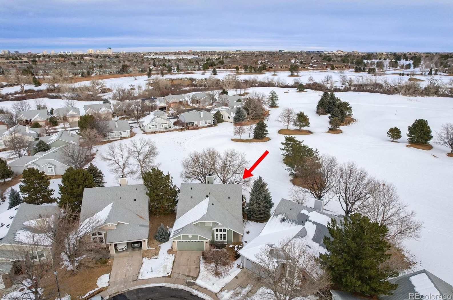 13 Aldershot Ct, Littleton CO  80130-3900 exterior