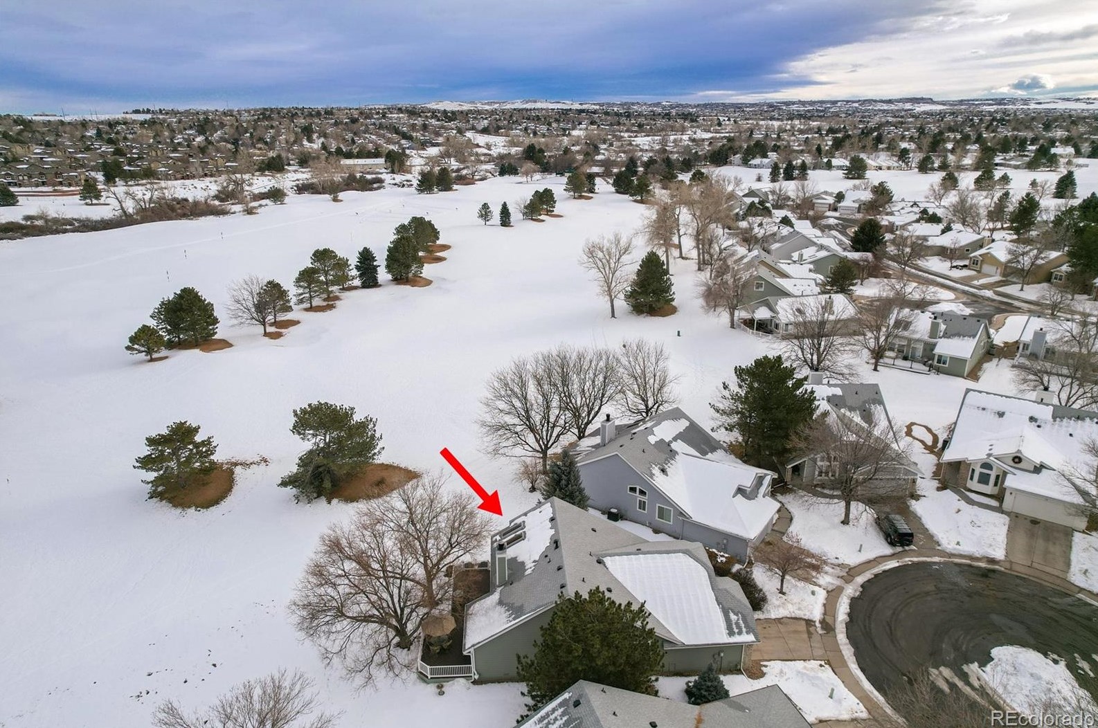 13 Aldershot Ct, Littleton CO  80130-3900 exterior