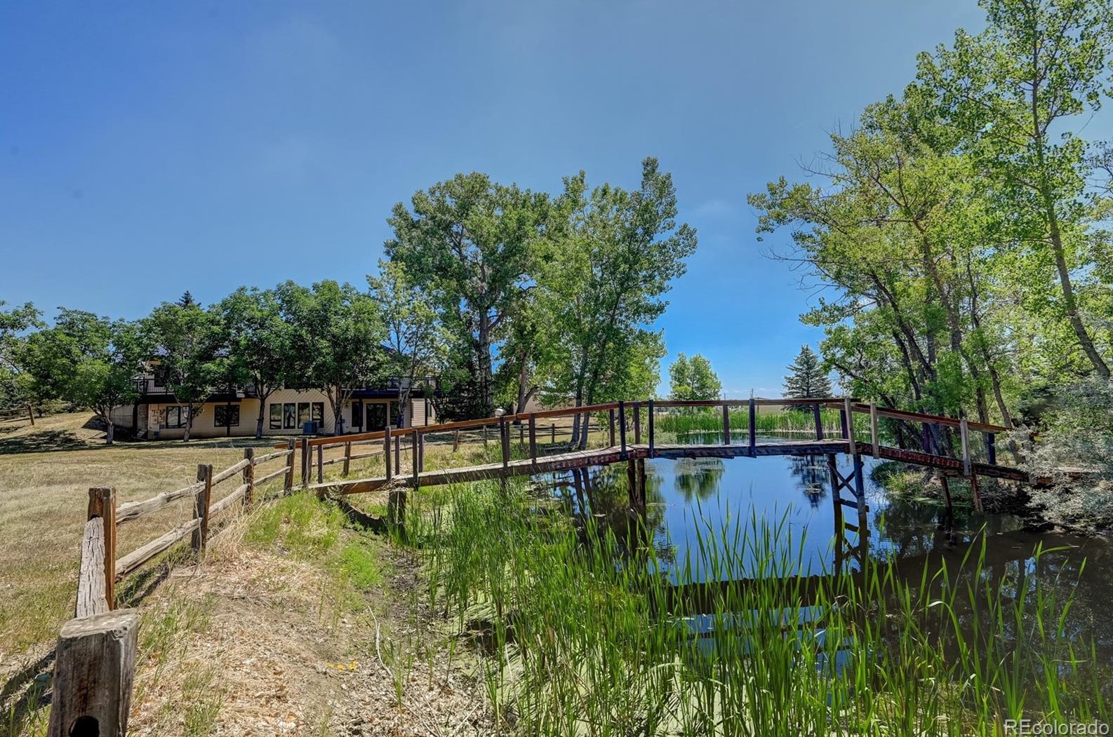 15442 76th Dr, Arvada CO  80007-7820 exterior