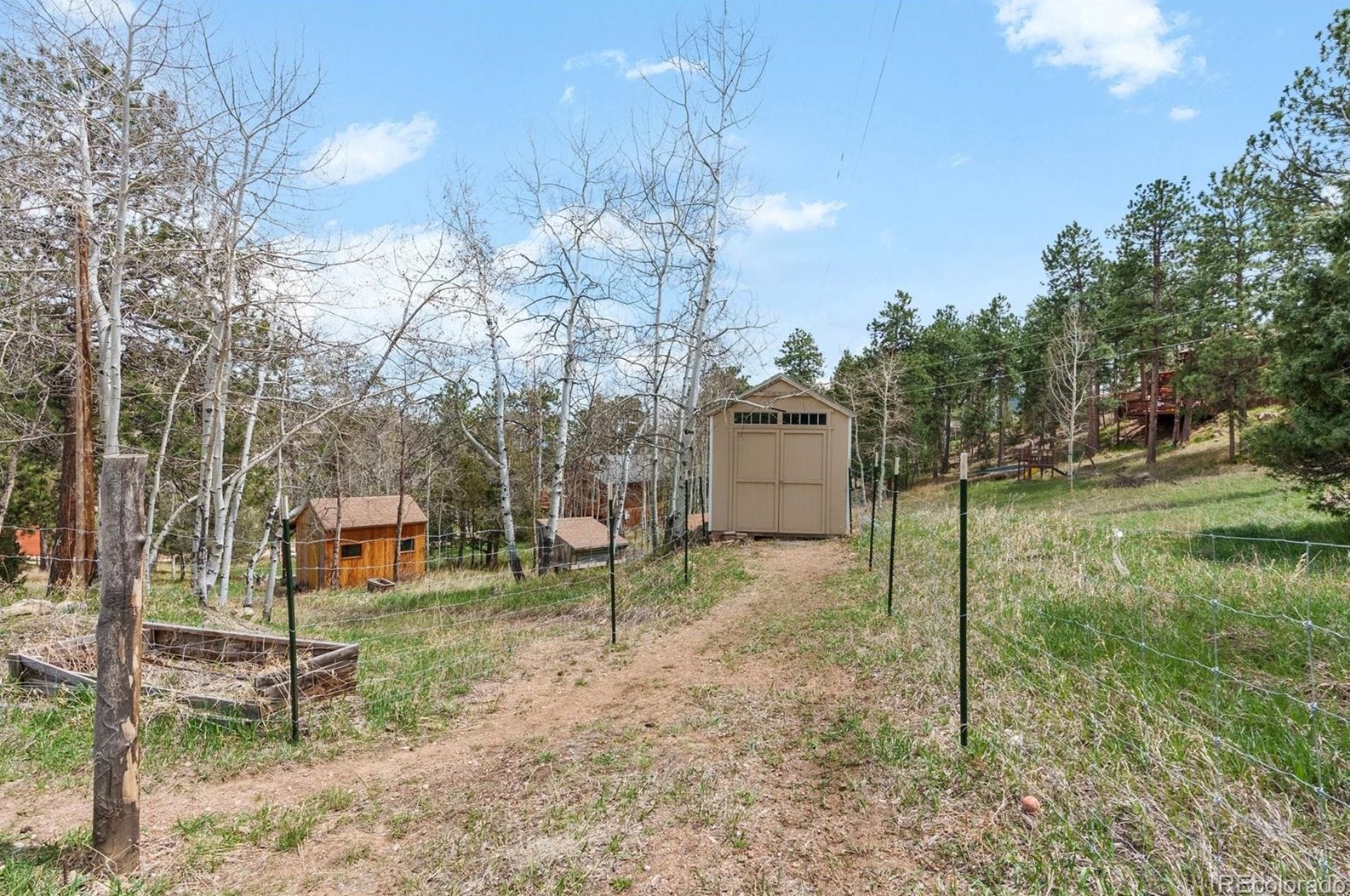 493 Bob Cat Trl, Bailey CO  80421-2183 exterior