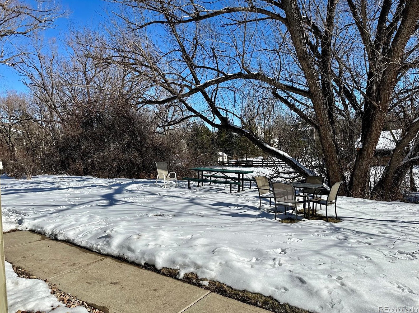 6844 Countryside Ln, Longmont CO  80503-7105 exterior