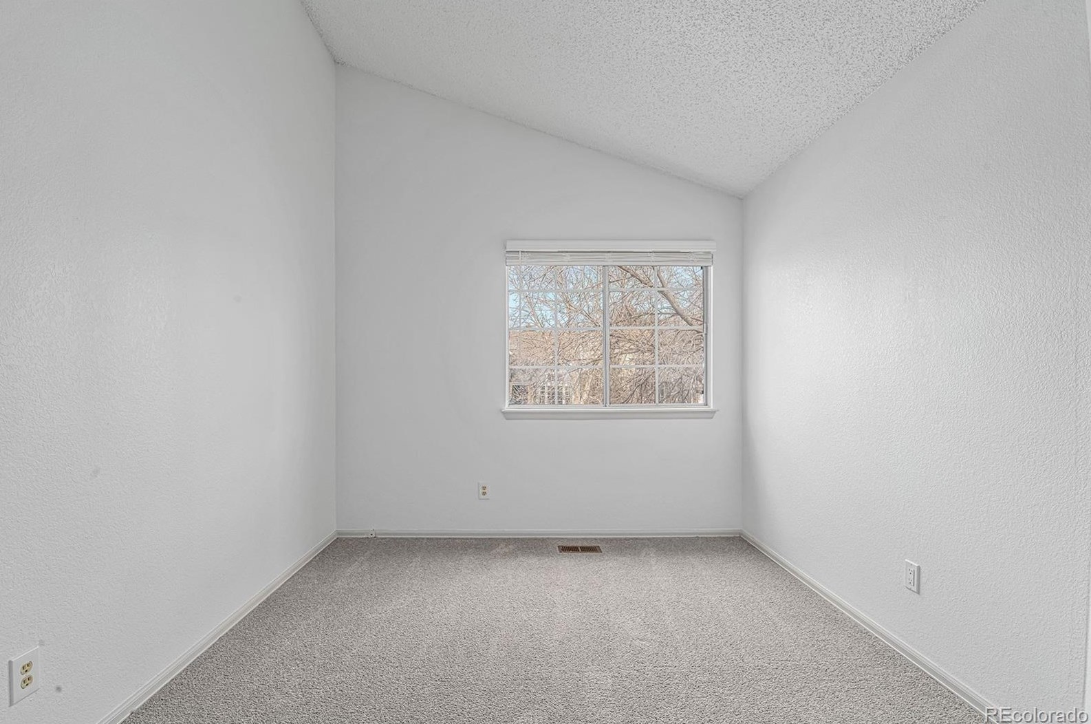 4701 Blazingstar Trl, Castle Rock CO  80109-2830 exterior